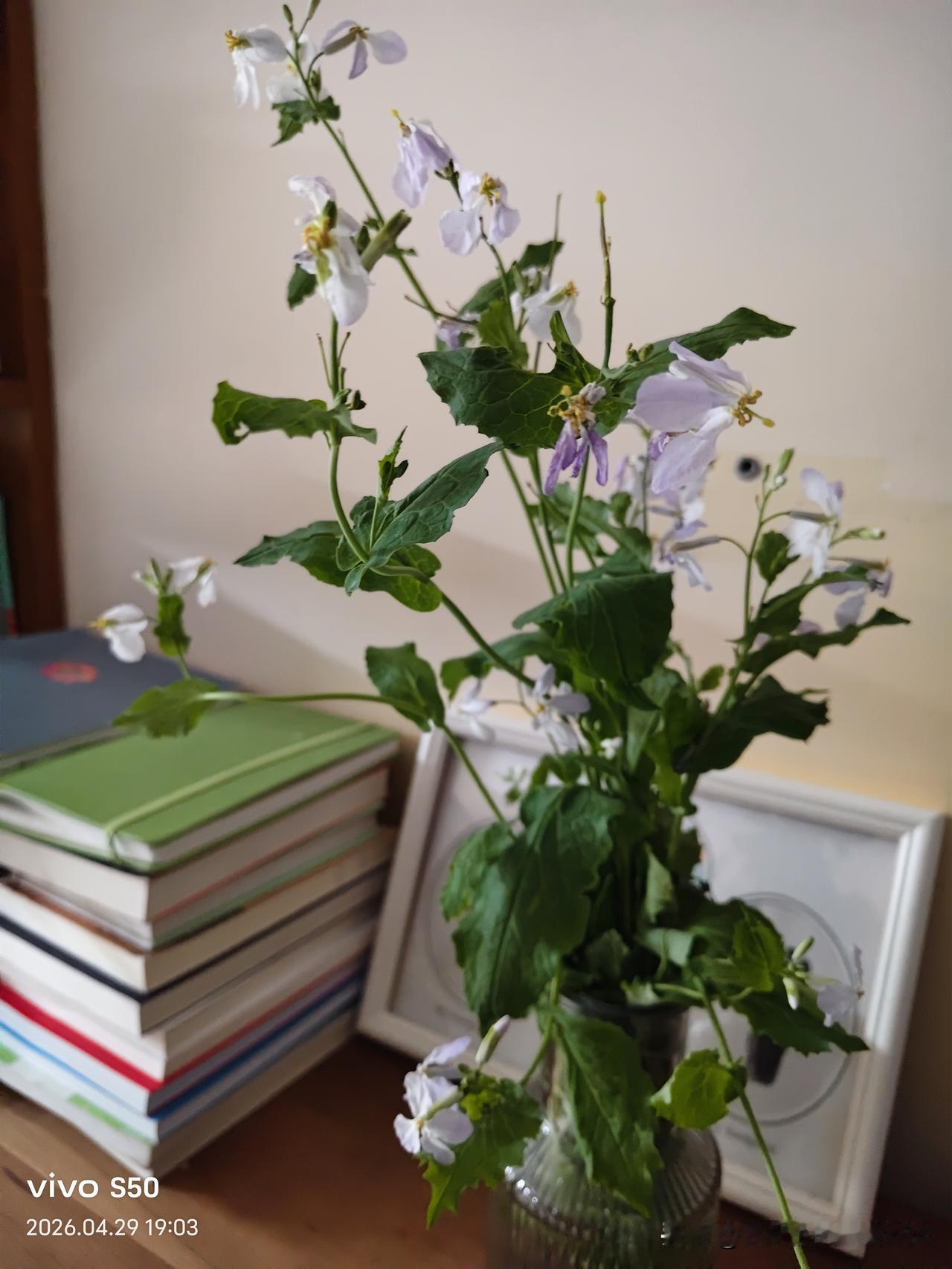 下联:春来鸟语花香。
冬去春来，万象更新。山河焕彩，流水清澈。桃红柳绿，绿草茵茵