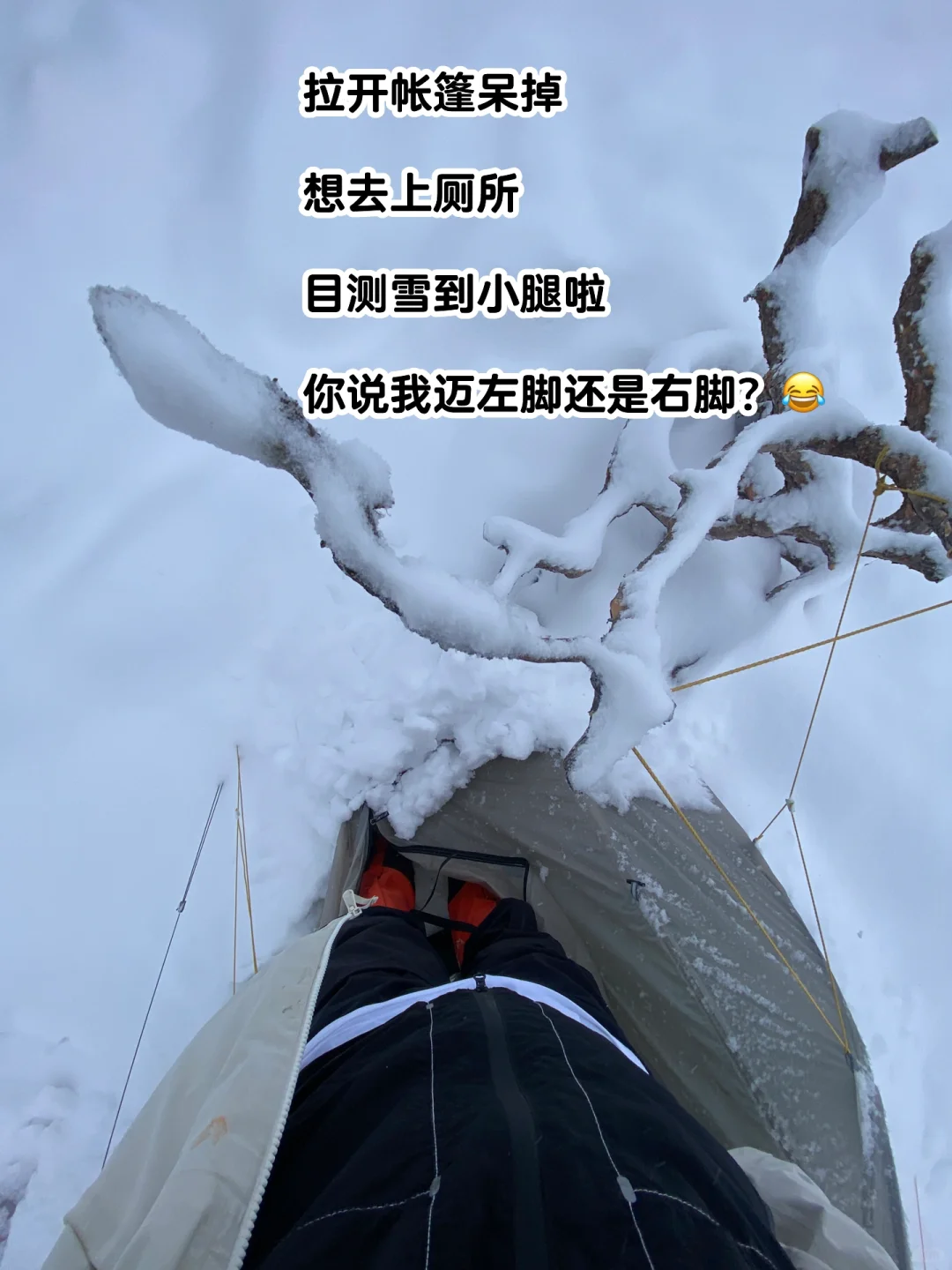 5月3号哈巴西坡一觉醒来，冰雪奇缘了我去…