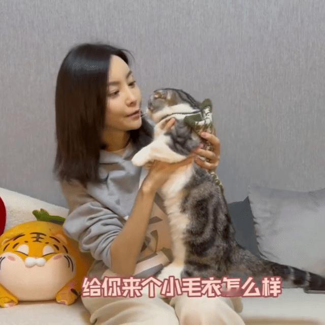 于文文好一个猫宝女  还真的是没有想到原来咱们的于文文就是一个这么有趣的猫宝女。
