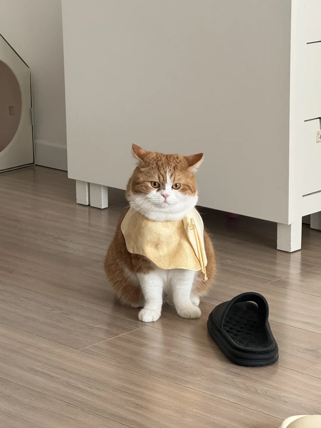 皇上您起床啦？