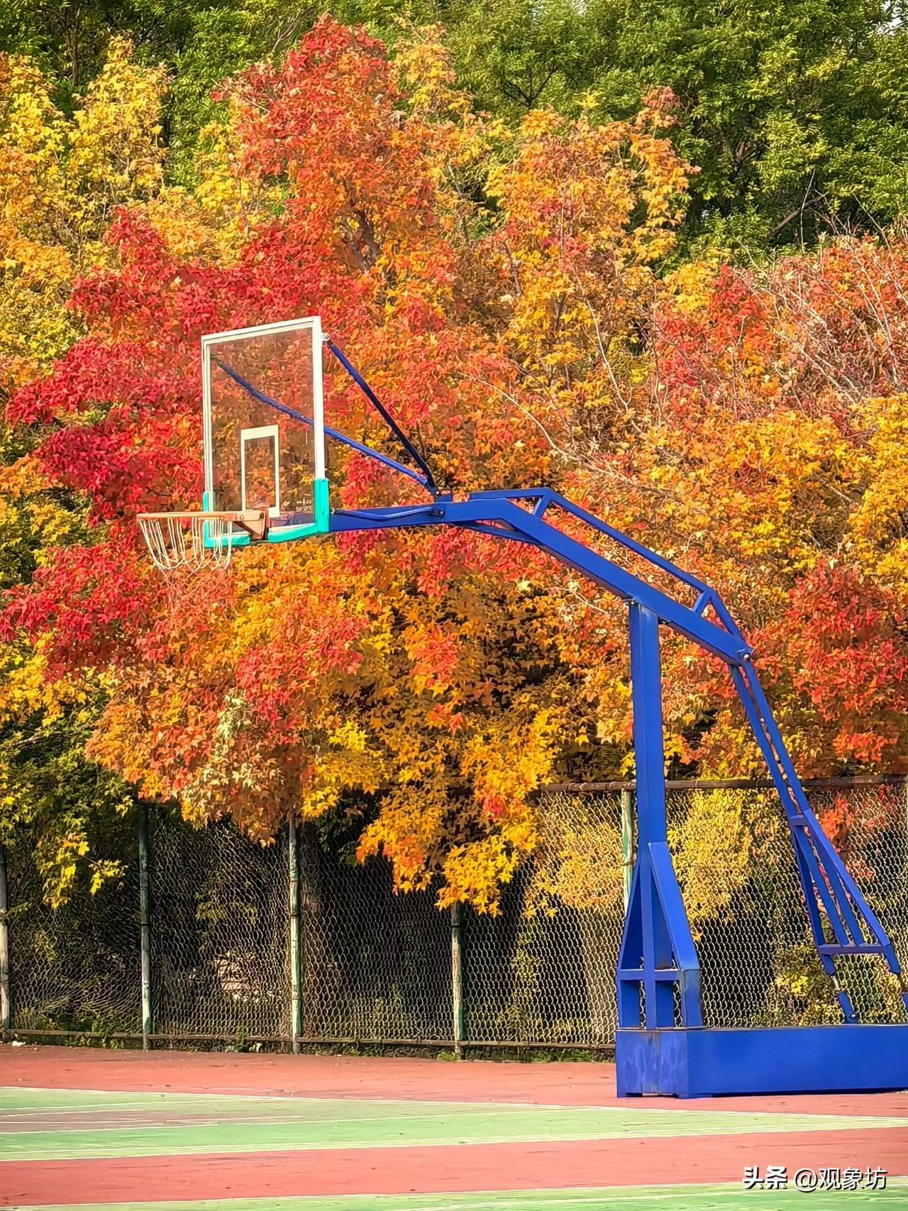 孩子成绩不好,都是教师的责任吗?
是的，孩子成绩不好都是教师的责任，孩子优秀都是