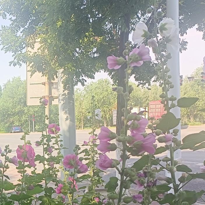 2.对你越来越敷衍，从前事事分享，现在沉默寡言，聊天回复拖沓，主动找你的次数几乎