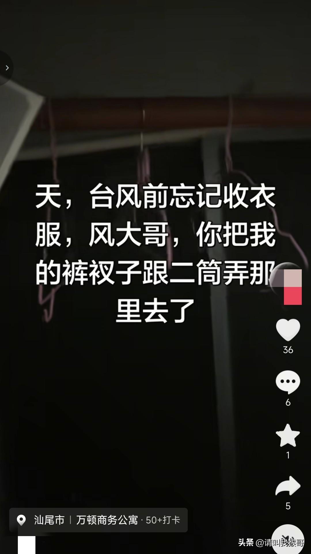 有多少人同时刷到这两个视频的？