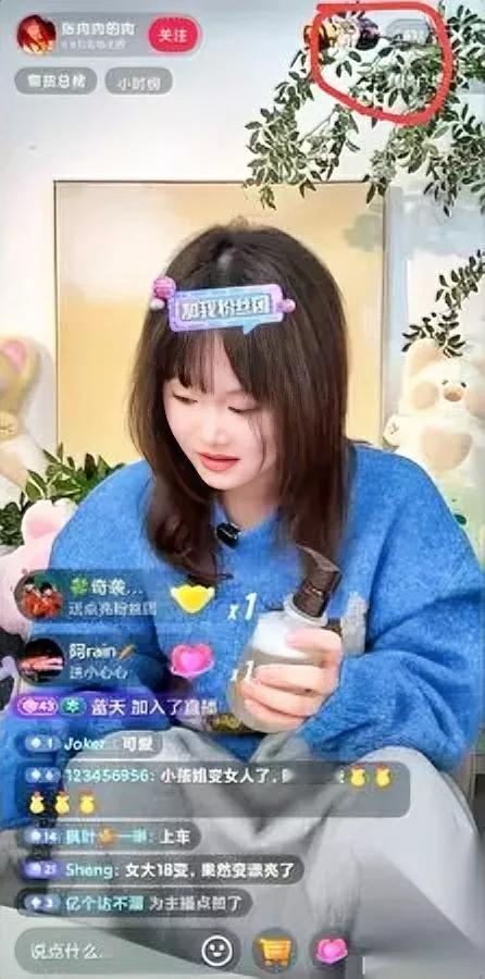 冠军带货？真不是谁都行。

今晚张家齐直播，在线才2000多人。

不是说她没名