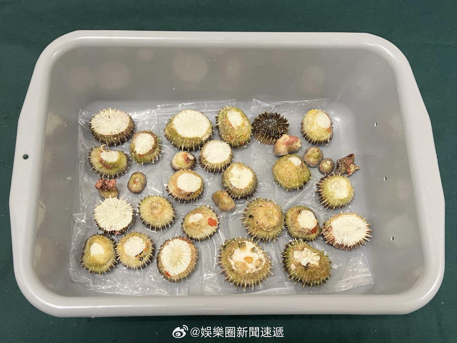 香港法律香港执法香港刑法  「檢獲懷疑受管制屬瀕危物種珊瑚 ..」香港海关 昨日