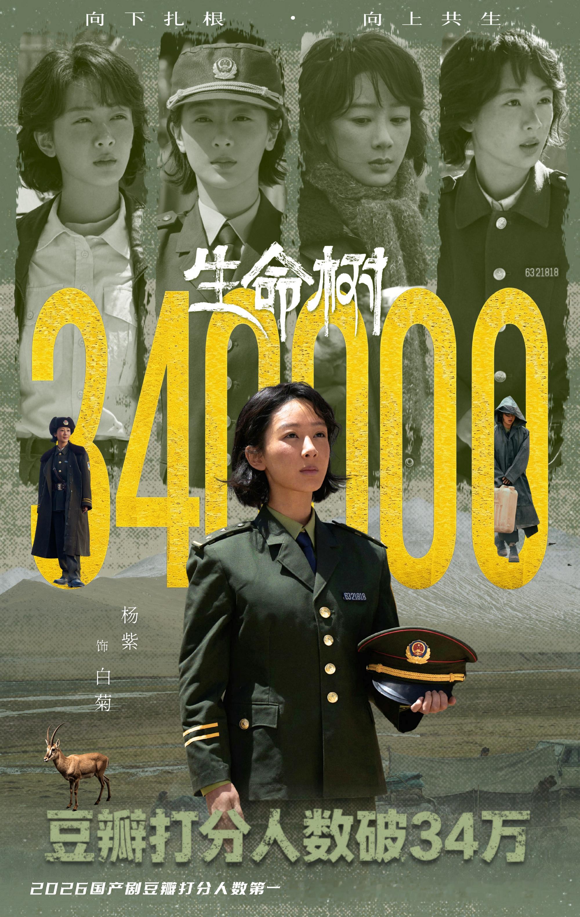 杨紫生命树豆瓣打分人数已破34万人，夯爆了