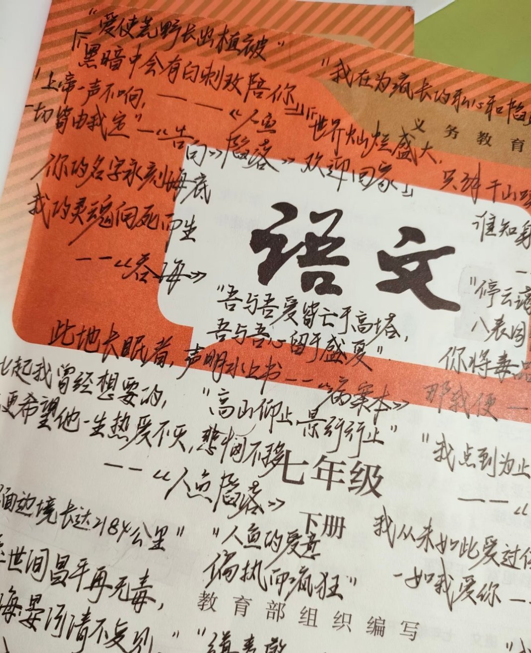 语文书上写满了我的青春 