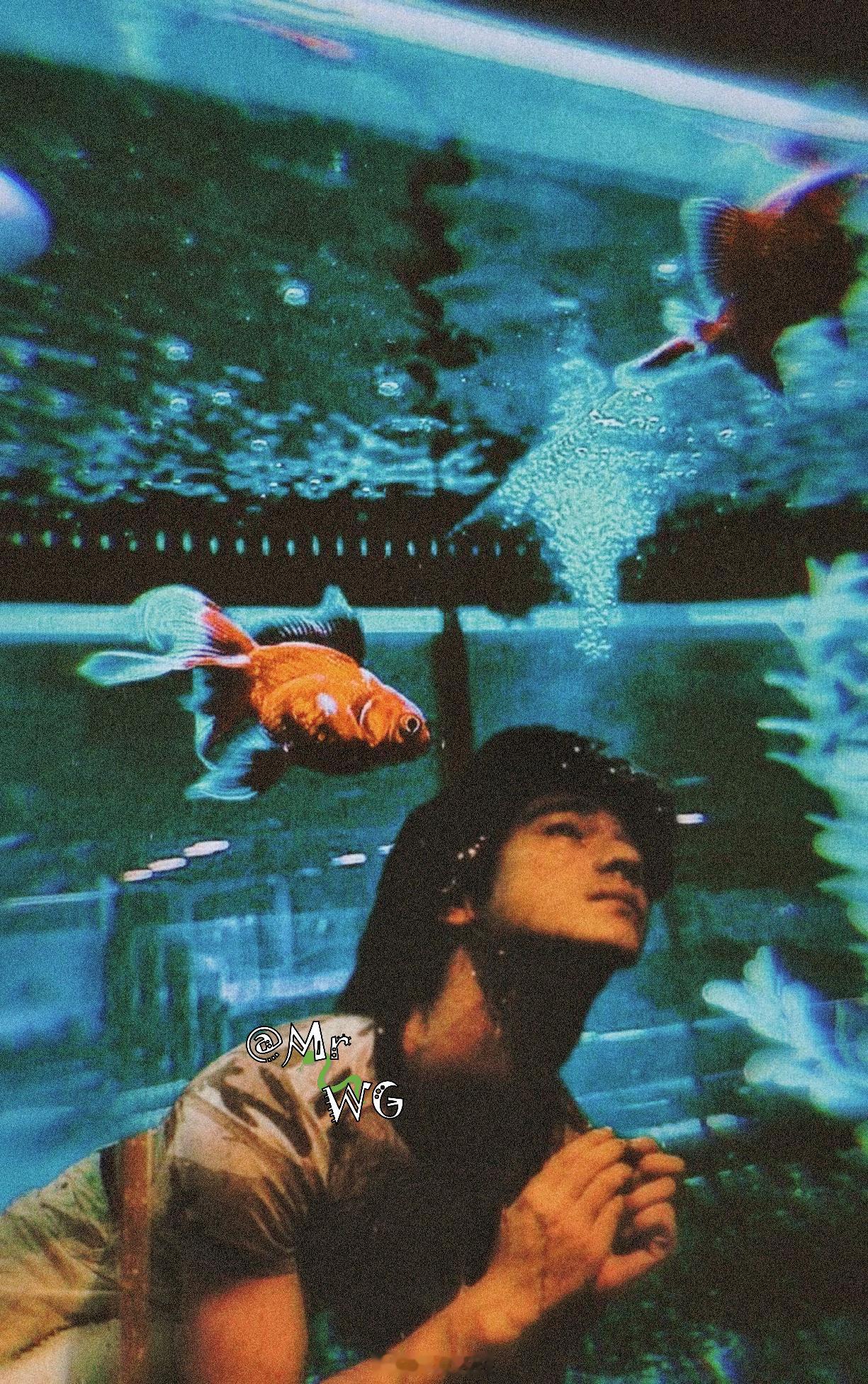 香港电影[超话]独家扫描 透过鱼缸的幽幽水光🐟，仰望星空✨——在杜可风的书里，