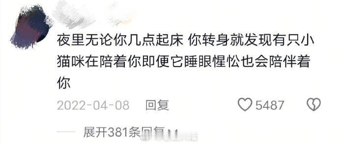 为什么人类会喜欢猫 ​​​