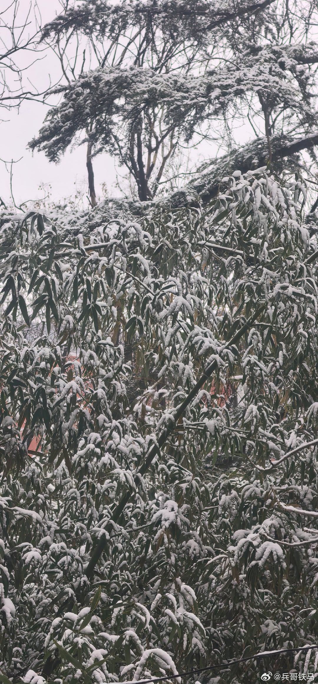 北京雪后初霁摄影