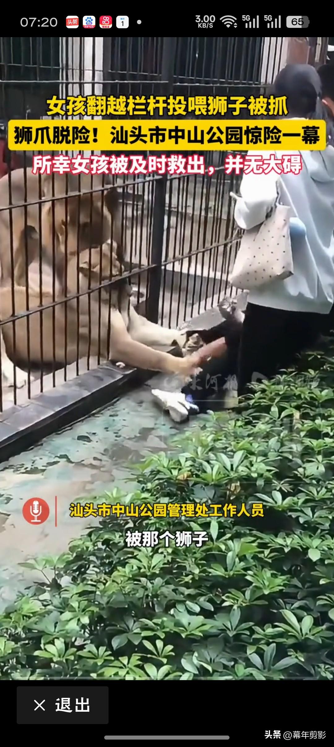 女孩在动物园近距离投喂狮子被袭击28秒，是生与死的距离，也是人性贪婪与自然野性的