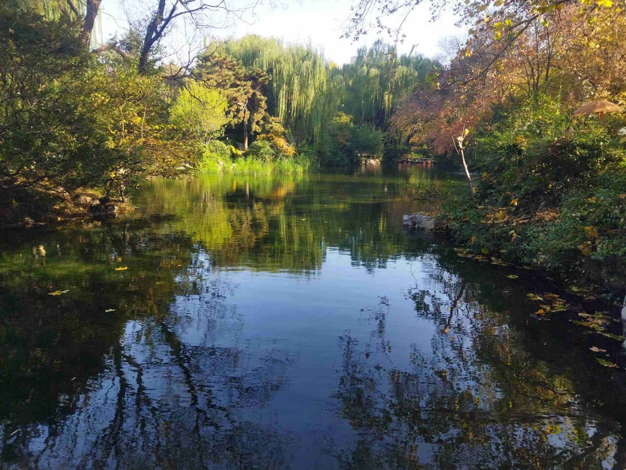 我的今日状态：😁轻松愉快
我这里的天气：☀️晴天