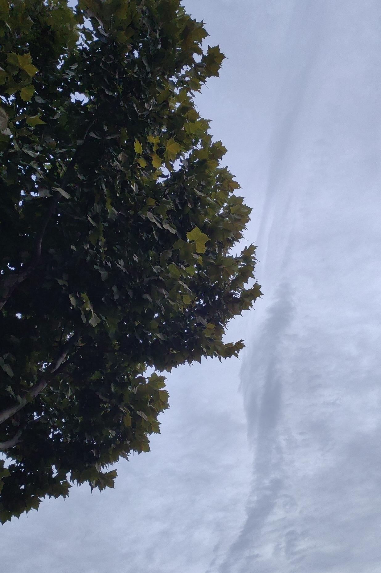 某职业学校组织学生体检，重点筛查结核等传染病，个别学生不愿意配合，家长的理由是怕