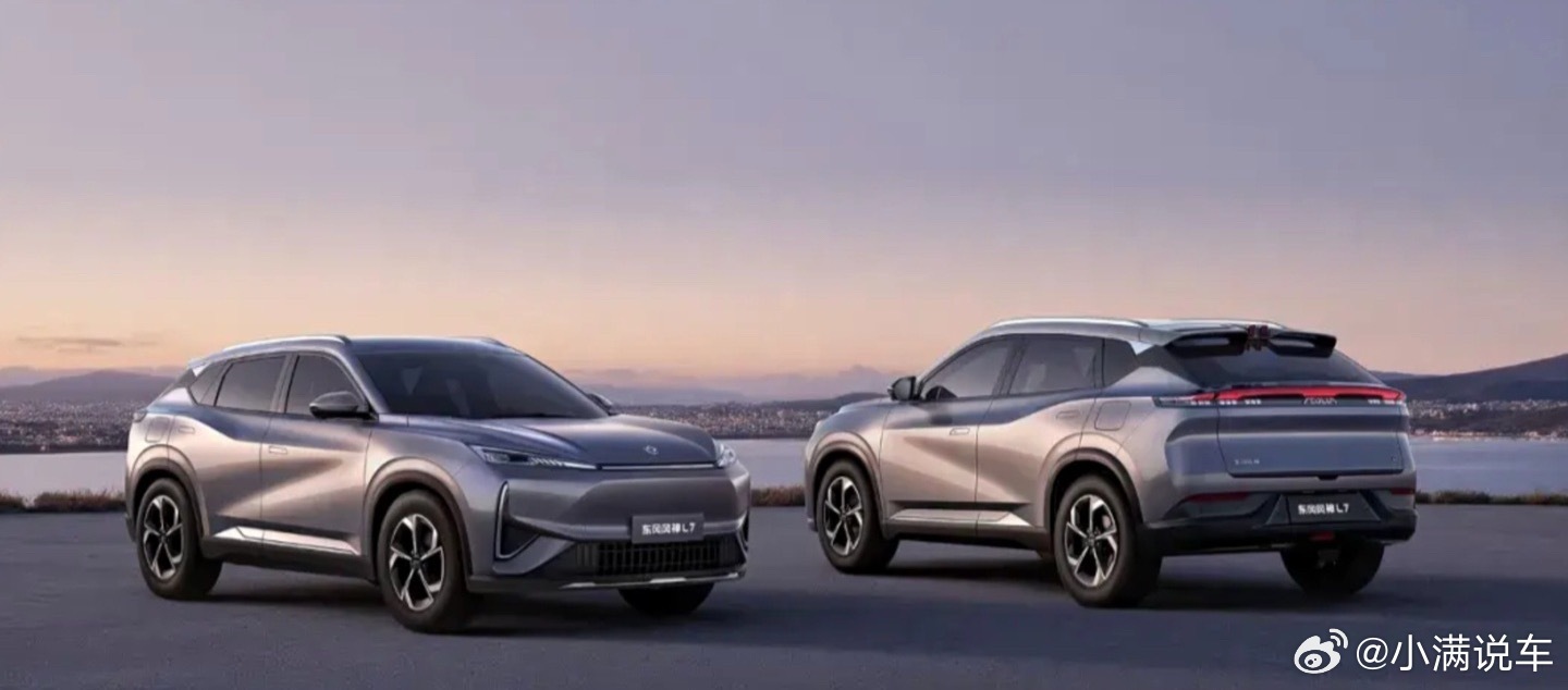 该车提供端砚黑、奇点白（黑色车顶）、核能灰、粒子金四种车漆，车辆采用封闭式前格栅