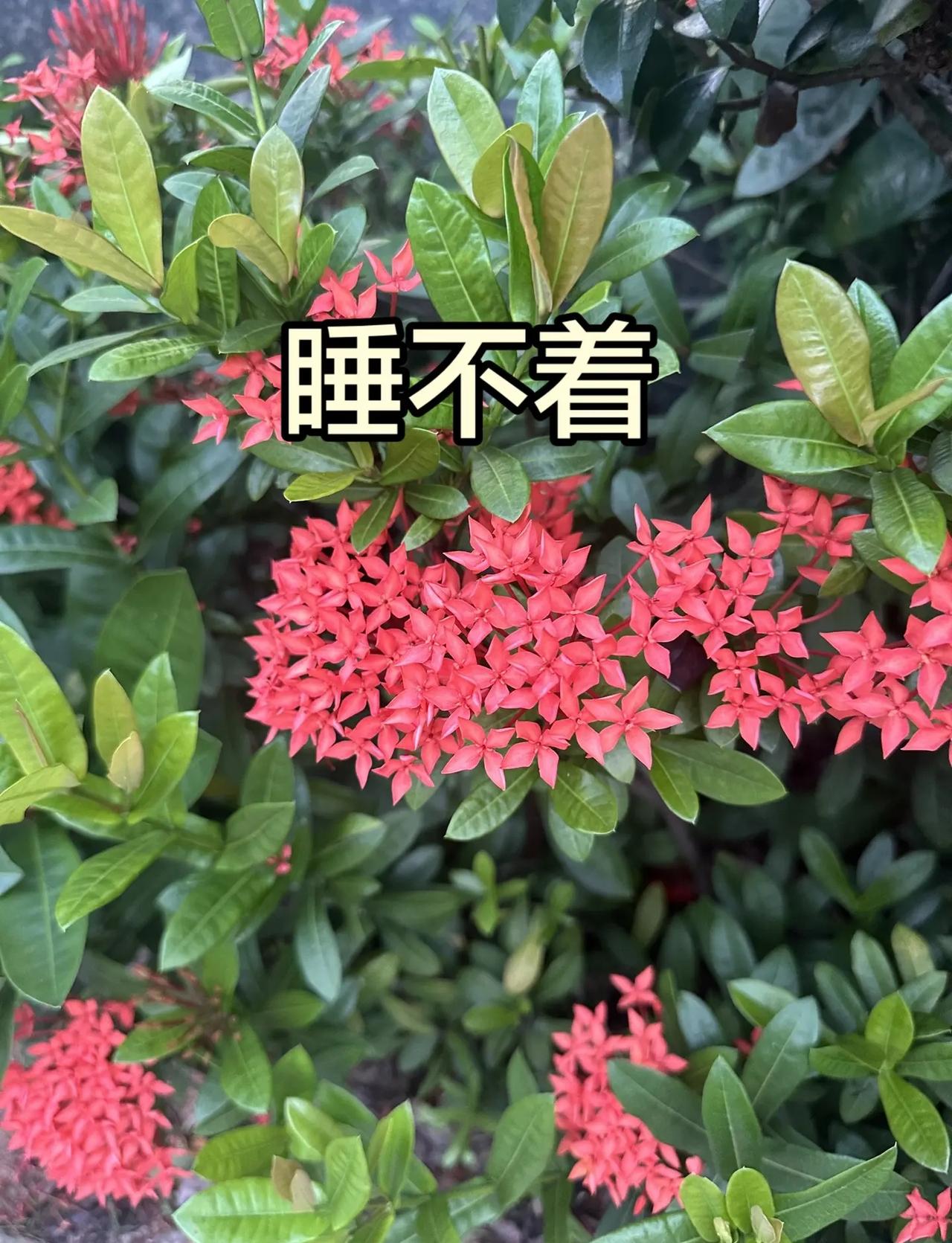 关键局锁定胜利！吴宜泽击败墨菲，斯诺克世锦赛迎来首位00后优胜选手，恭喜中国斯诺