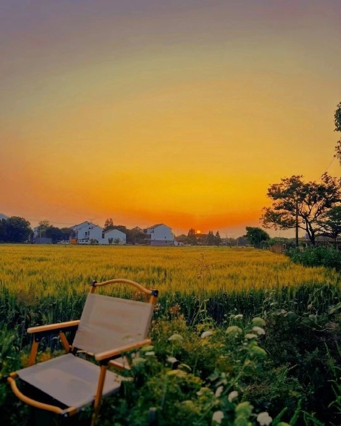 “  夕阳无限好 ”  