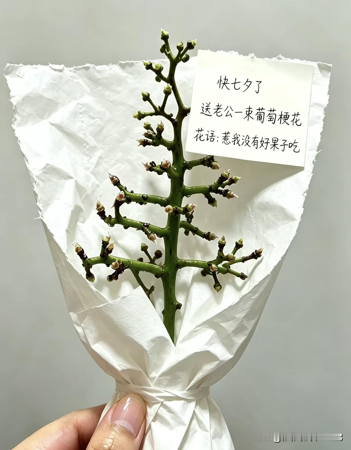 今天就是七夕节了，别人都是送鲜花、送礼物讲究浪漫。

我打算不走寻常路，给自家那