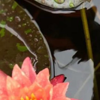 正能量[超话]正能量 人生不是等待风暴过去，而是学会在雨中调整呼吸，找到自己的节