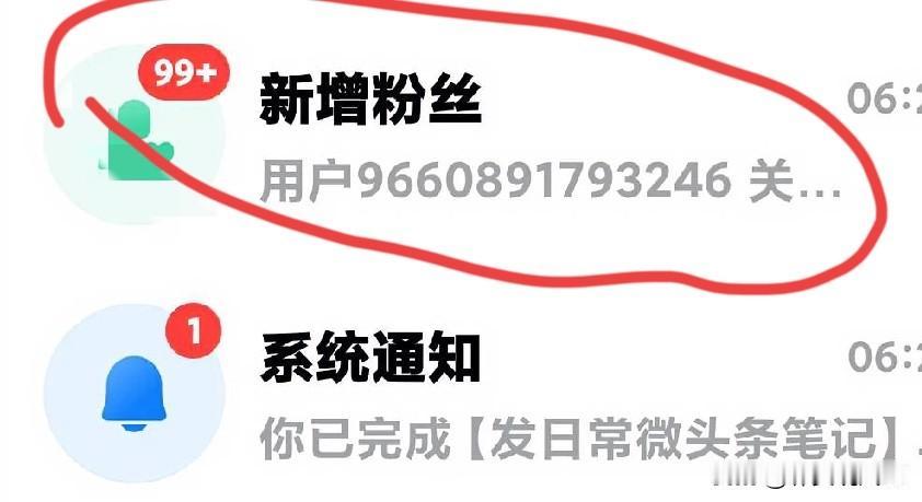 这几天出奇顺的一件事是涨粉，昨天一千多。我觉得奇怪，问了一下@豆包，说我的账号正