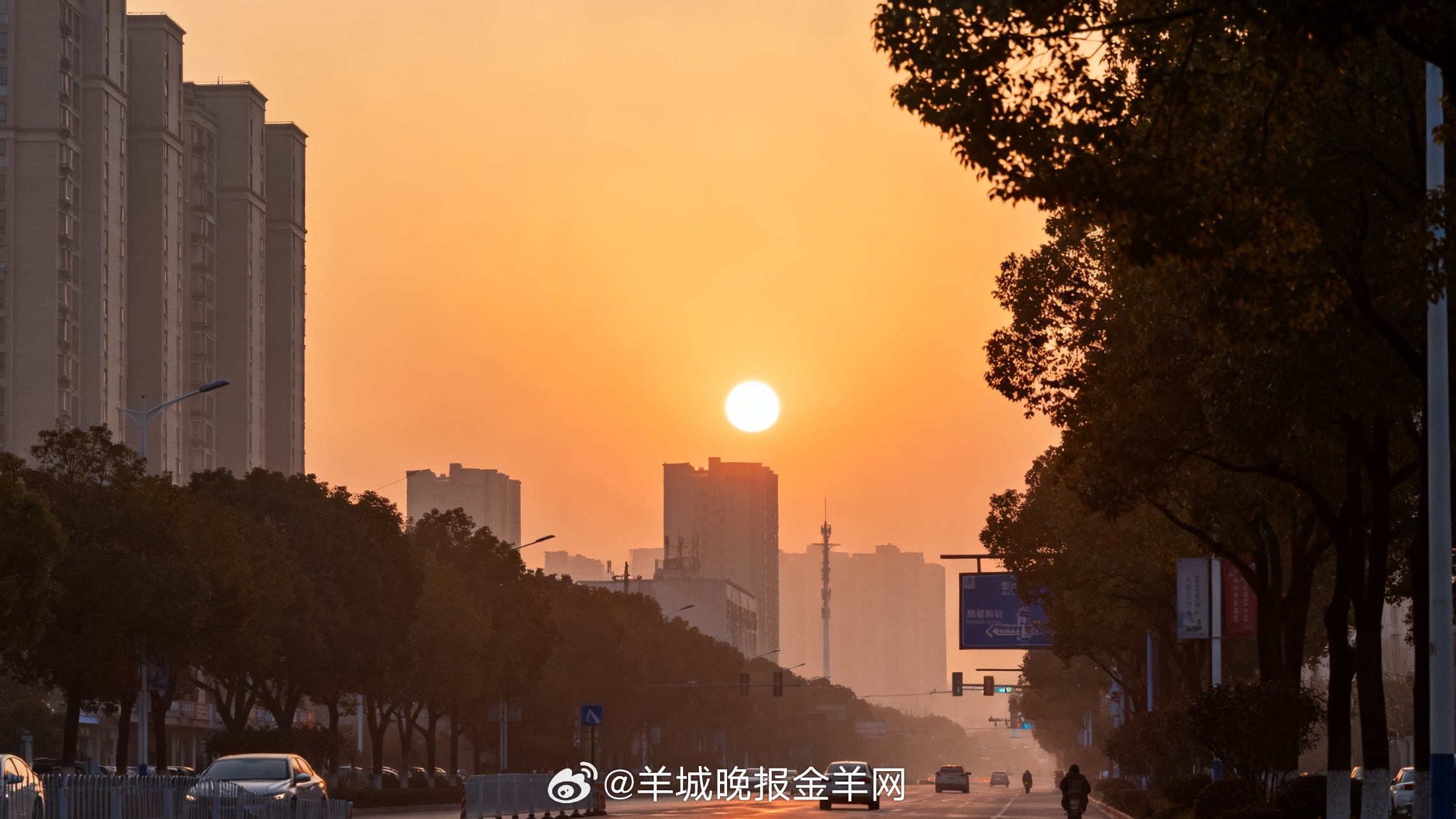 #早安# 晨雾还没散尽，鸟鸣先落进了窗台。一天刚刚开始，不必急着填满。留一点空白