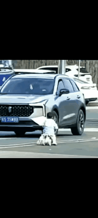 这家长在哪里？必须请去派出所训教一番，亏了大货车司机看见，不然后果难料