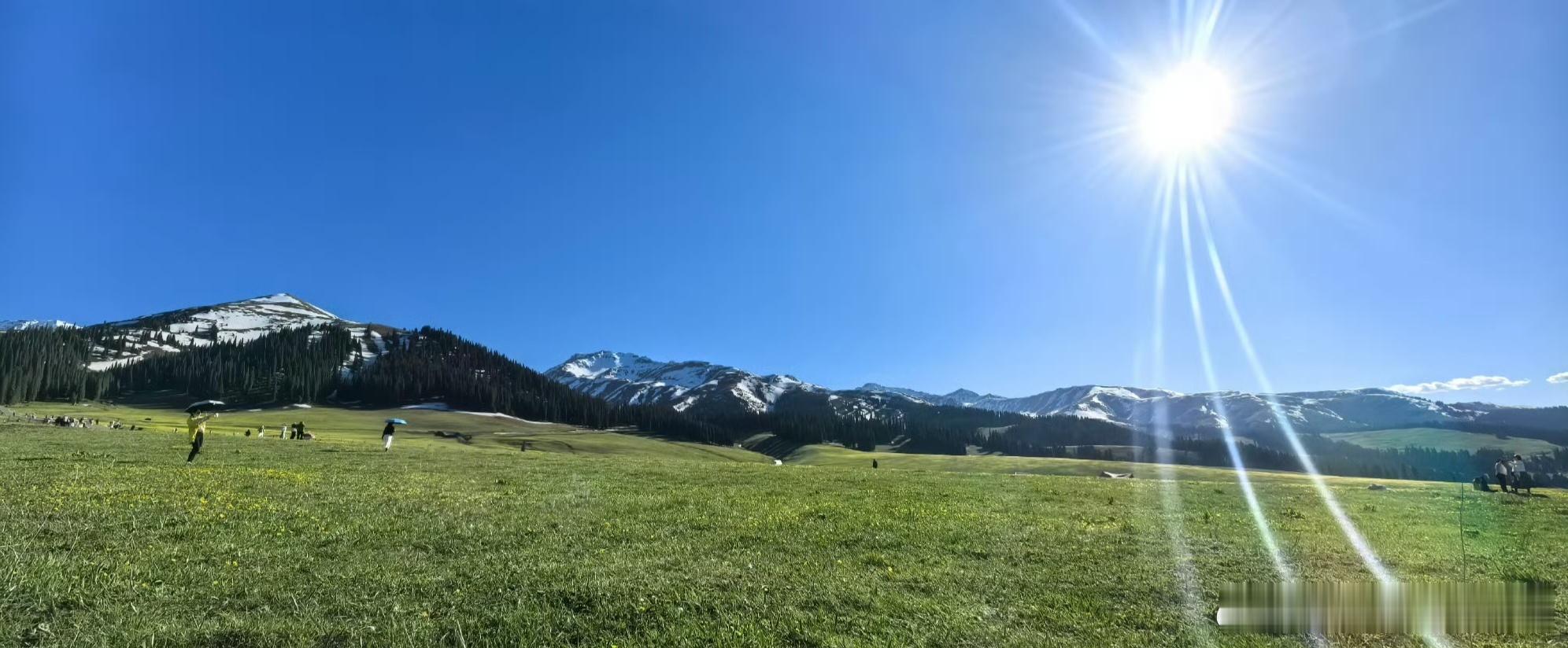 《叔苴子》这书最根本的哲学命题，只有三个字：天地一气。庄元臣说：天地间一气耳。气