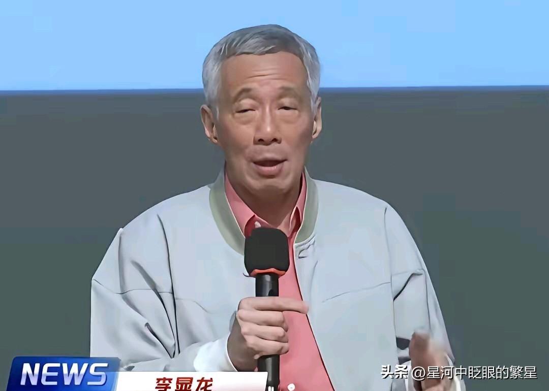 新加坡有新发现，马六甲海峡过往船只或许有一半是中国的，这意味着新加坡在船舶方面所