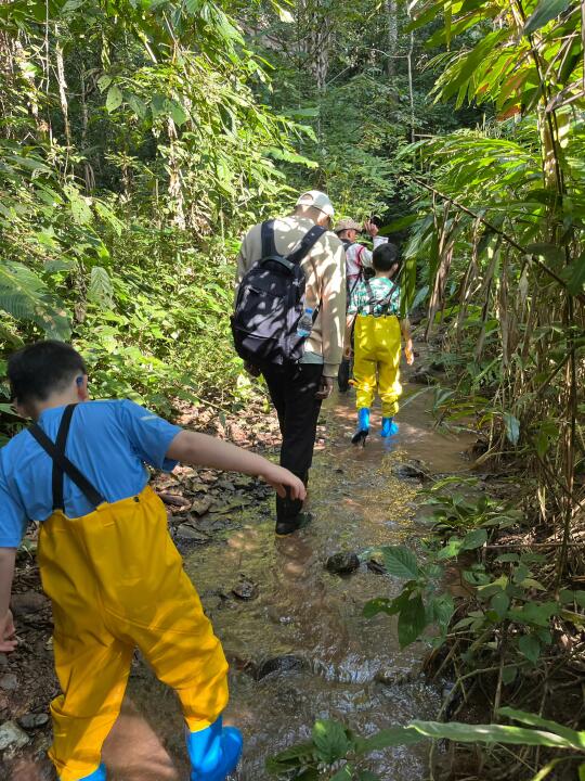 带娃西双版纳已回，建议暑假带娃去的家长……