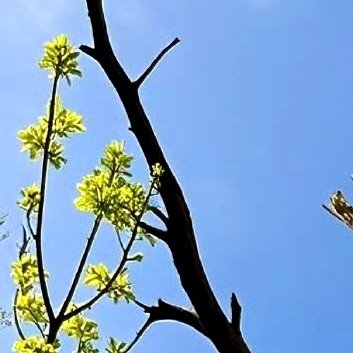 阳光信用‎阳光‎信用 ‎每日一善 忙时尽兴，闲时有趣，愿你做一个满载能量的人，在