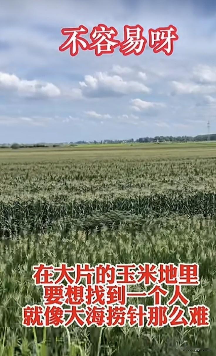 河南西平夏付钢估计已不在人世了。
就冲他案发后回家给老娘做了一顿饭，又去老父亲坟