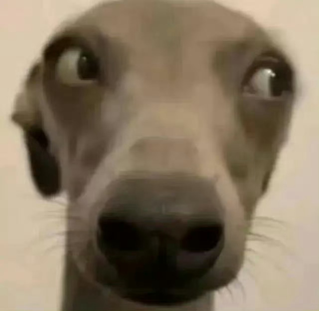 很多所谓的恋爱脑，爱的根本不是一个具体的人，而是“我正在深爱着这个人”的感觉。说