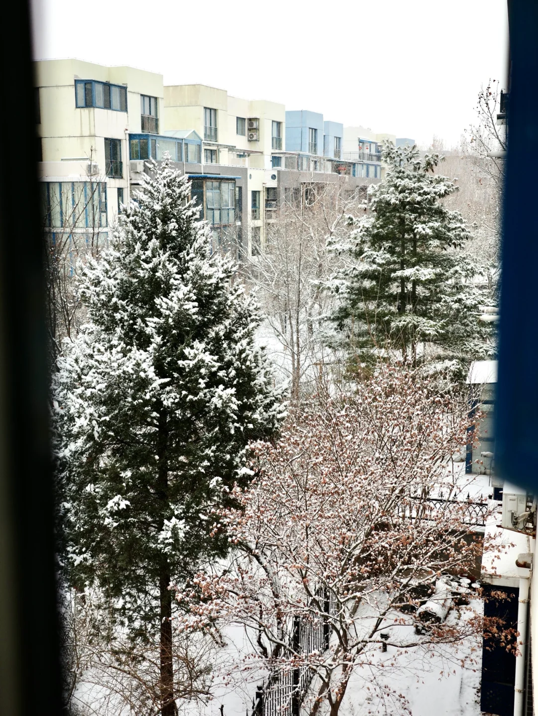 起床看到的窗外雪景