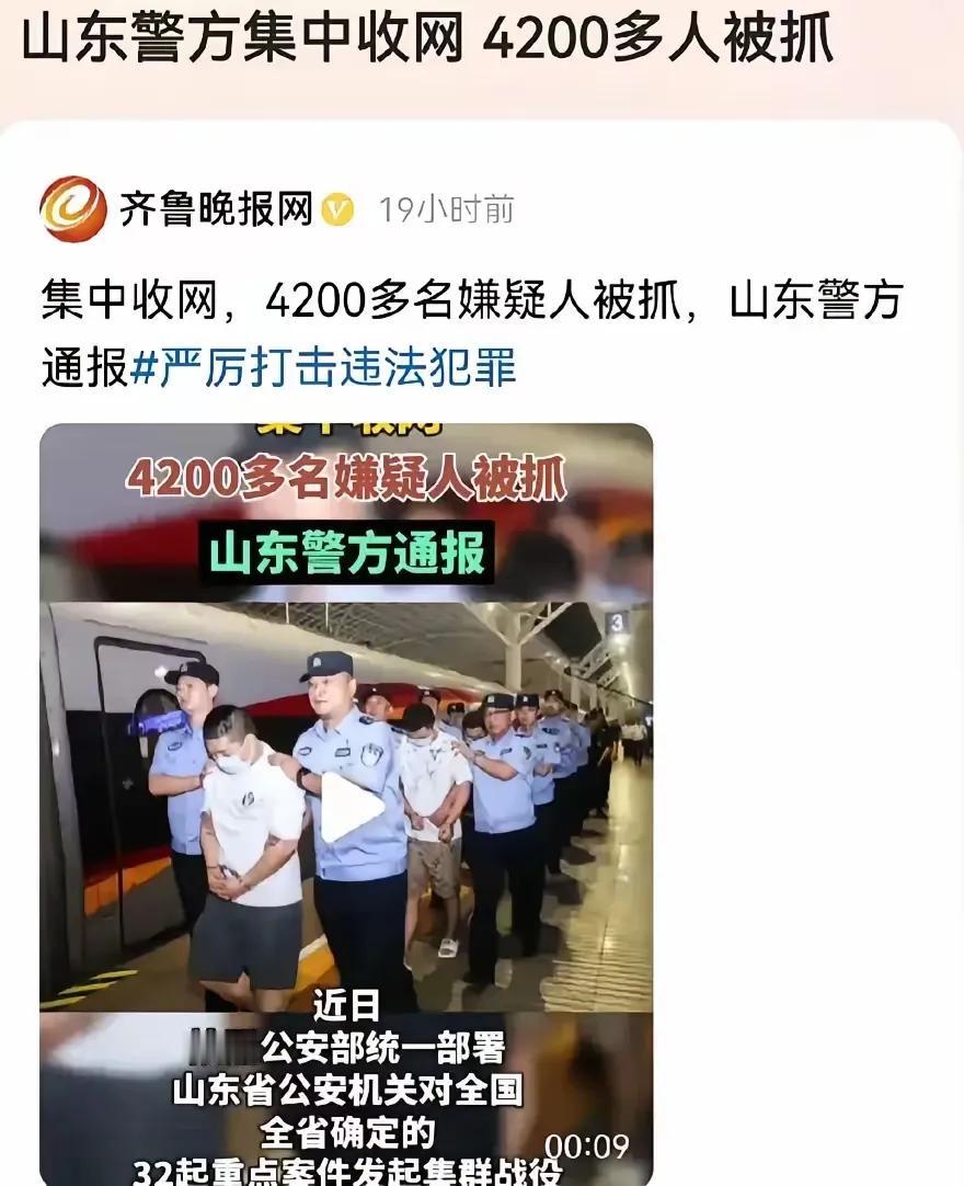 山东警方集中收网，4200人被抓。  
          这些人是金融诈骗还是
