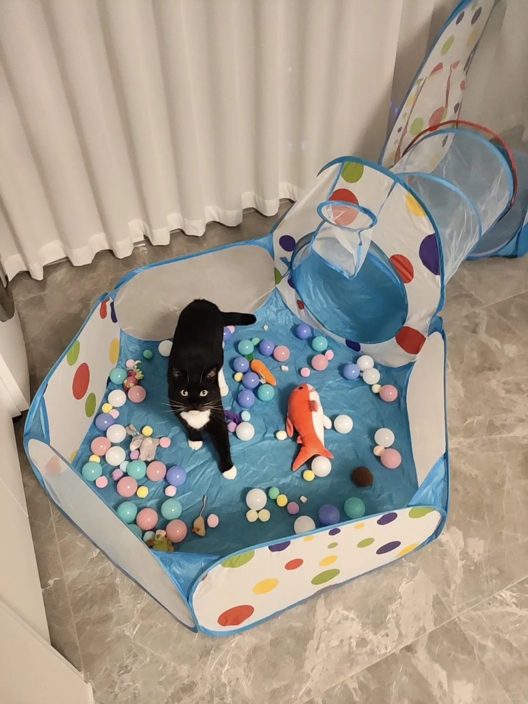 这和自己生的有什么区别