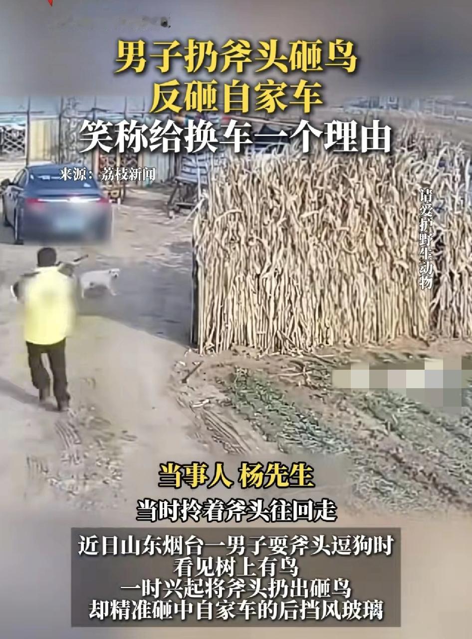 山东烟台一男子在家门口用斧头来逗狗时，看到空中飞来两只小鸟，一时兴奋，就把斧头砸