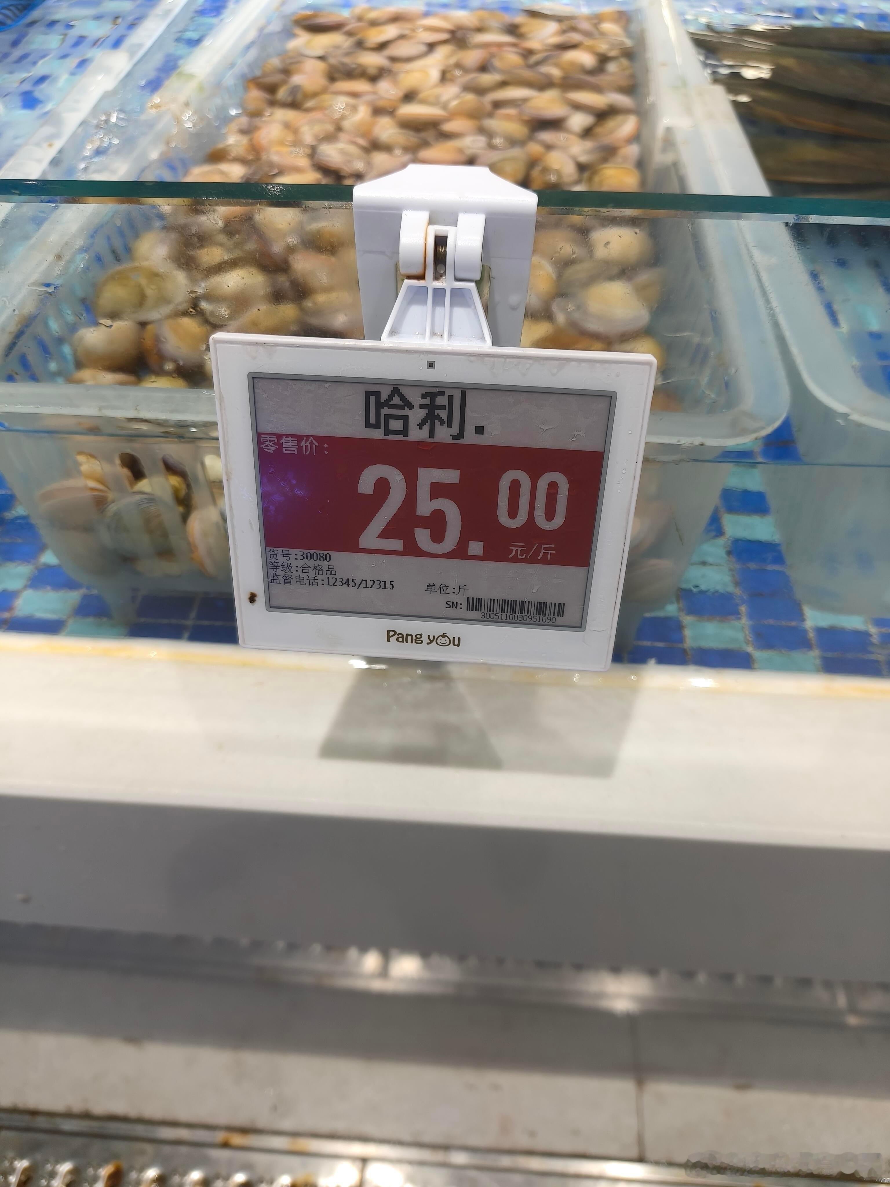 大难不死的男孩 
