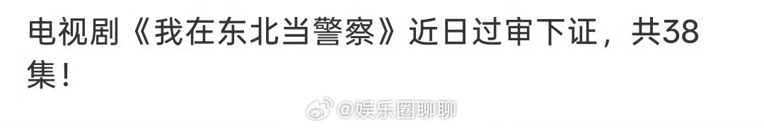 张晚意《我在东北当警察》近日过审下证咯，太期待公孙坚决了，赶紧播 
