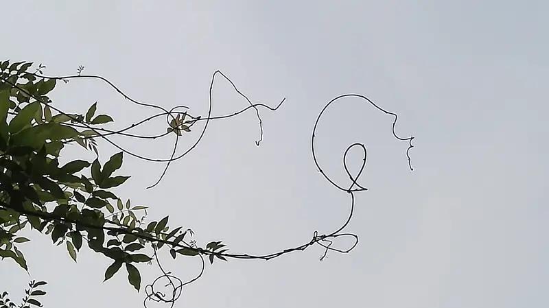 上联：奇思生妙句，诚邀高手对下联妙想出高招。