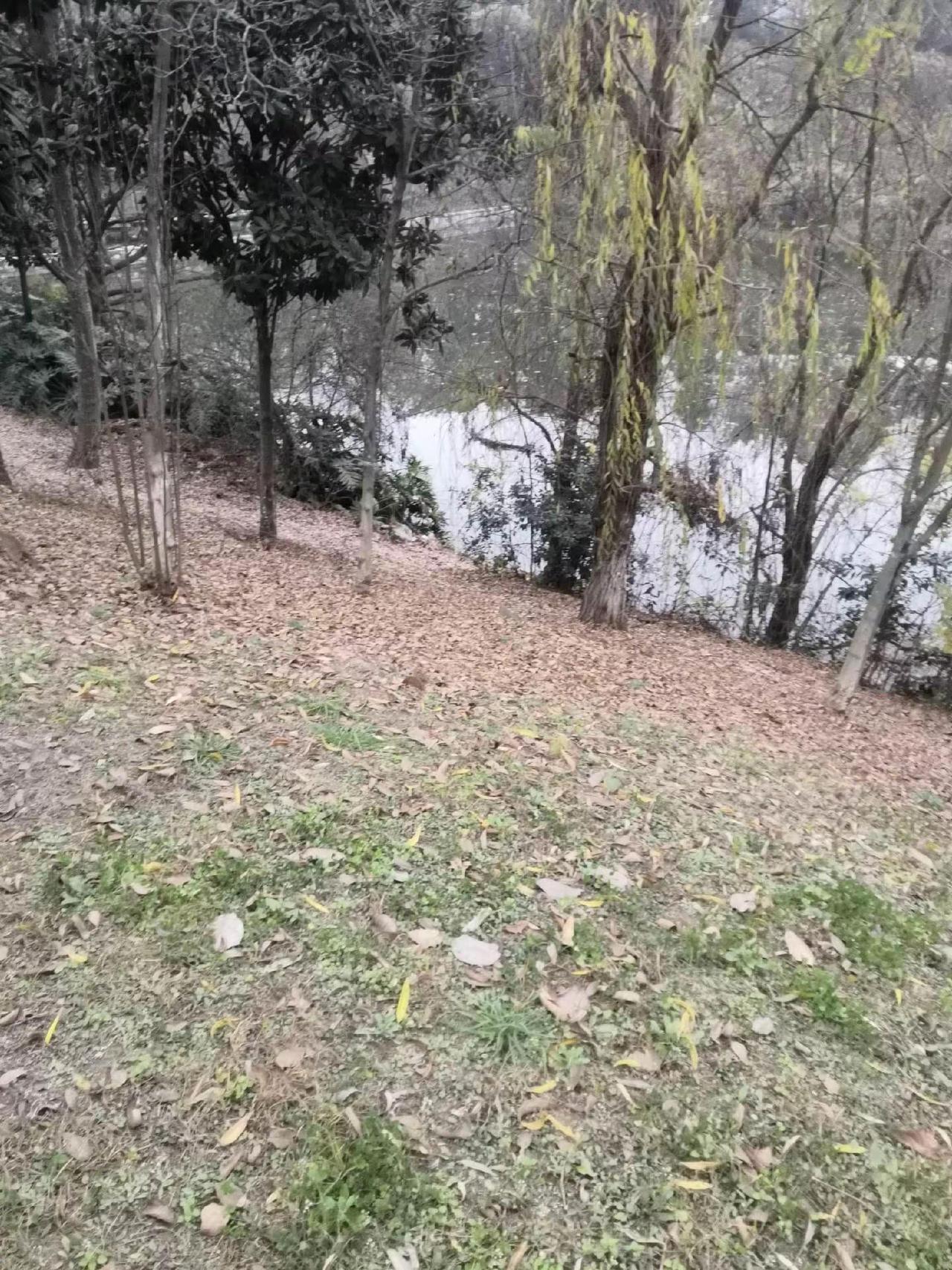 大山的风景 我的故乡 农村生活日常 家乡的山山水水