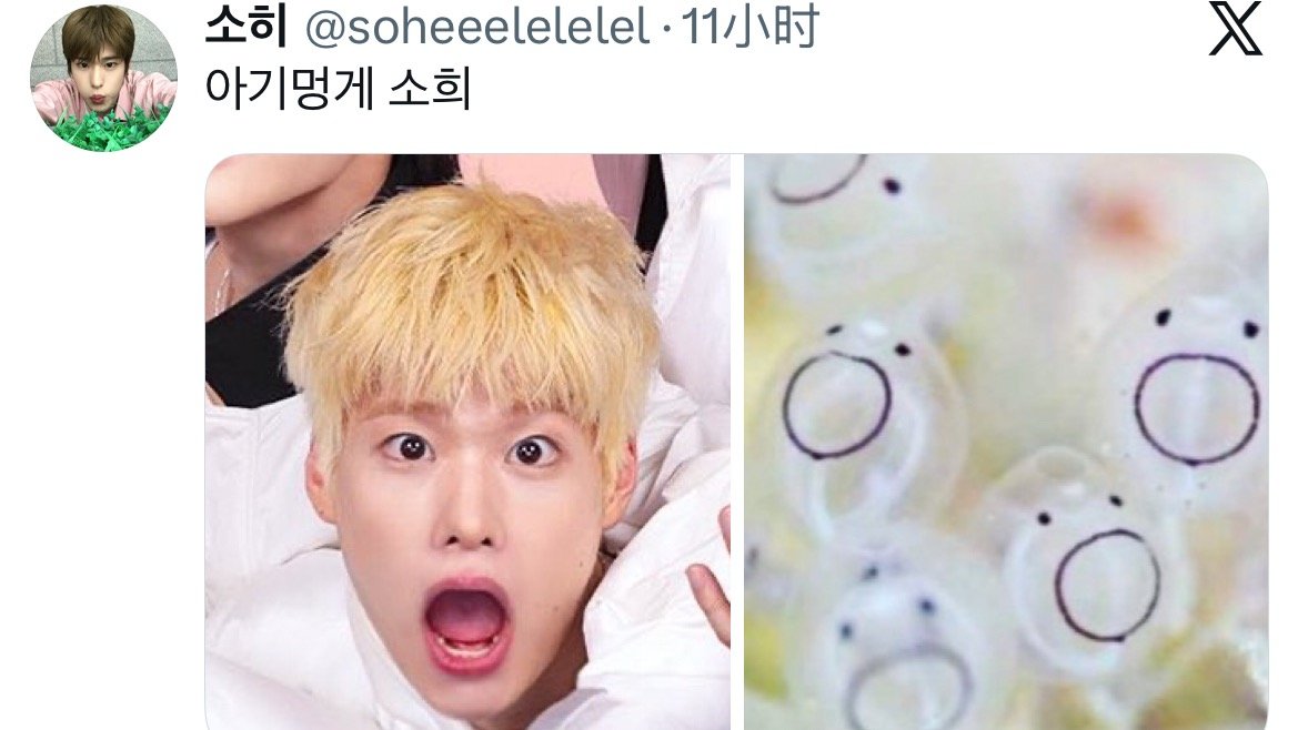 萌😵💫 