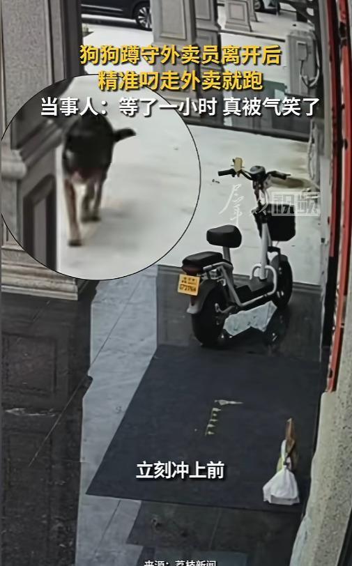 浙江湖州王女士点外卖备注“放门口不敲门”，一小时后出门一看，鸡排没了，只剩杯饮料