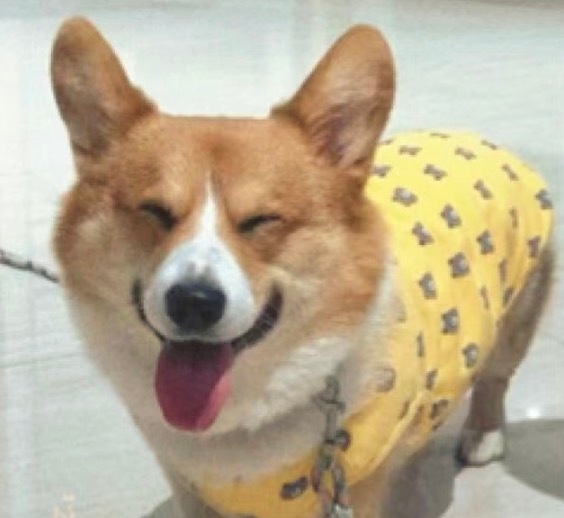 伸手不打笑脸啵