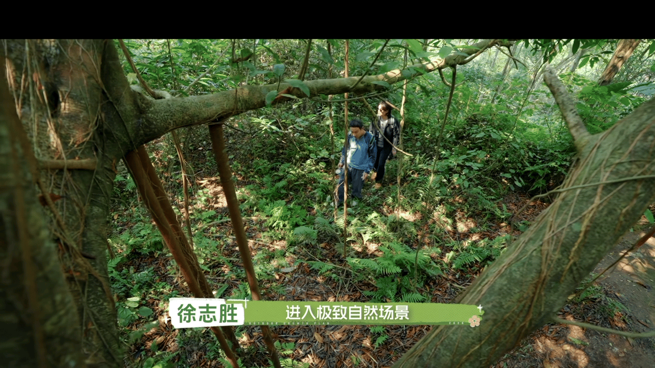 内娱亲子综艺又卷土重来了户外成长计划 现在的亲子综艺太会玩，直接把萌娃拉去户外撒