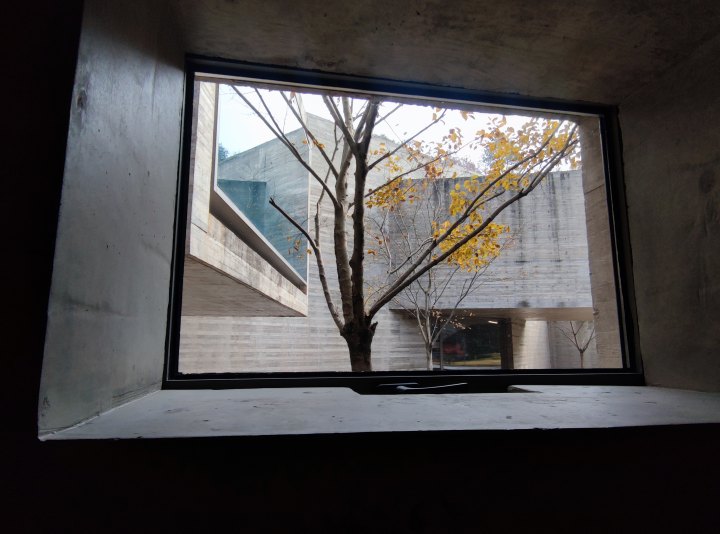 一起轻松玩艺术！来橙友圈发帖分享你的美图和灵感，送桂圆红枣枸杞茶丨橙柿福利