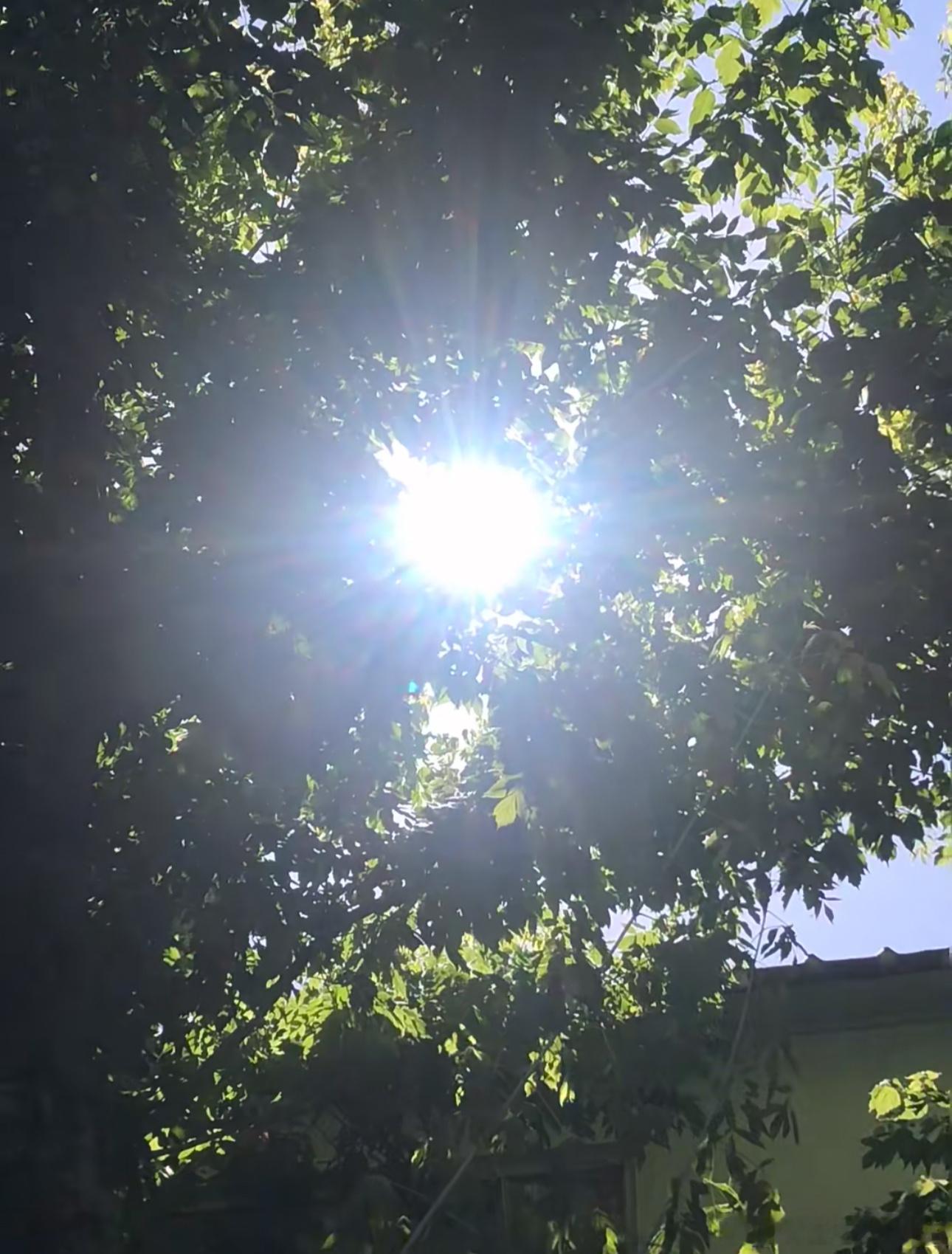 今日的阳光照得人睁不开眼。强光容易让人迷失，市场亦是如此。不必执着追逐那些夺目躁
