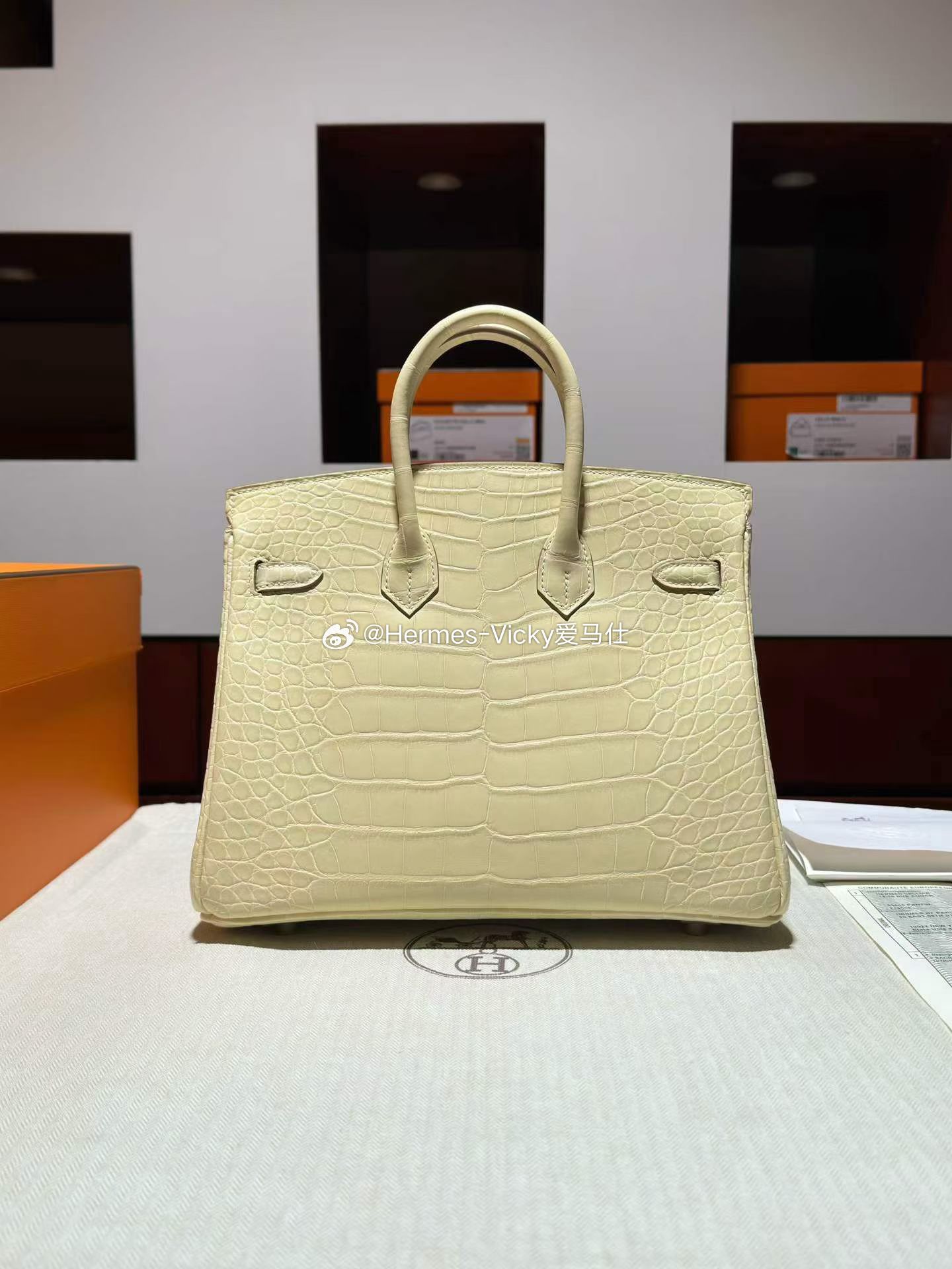 Birkin 25 雾面方块美洲鳄🐊 Y1 Vanille香草色 银扣 香草色