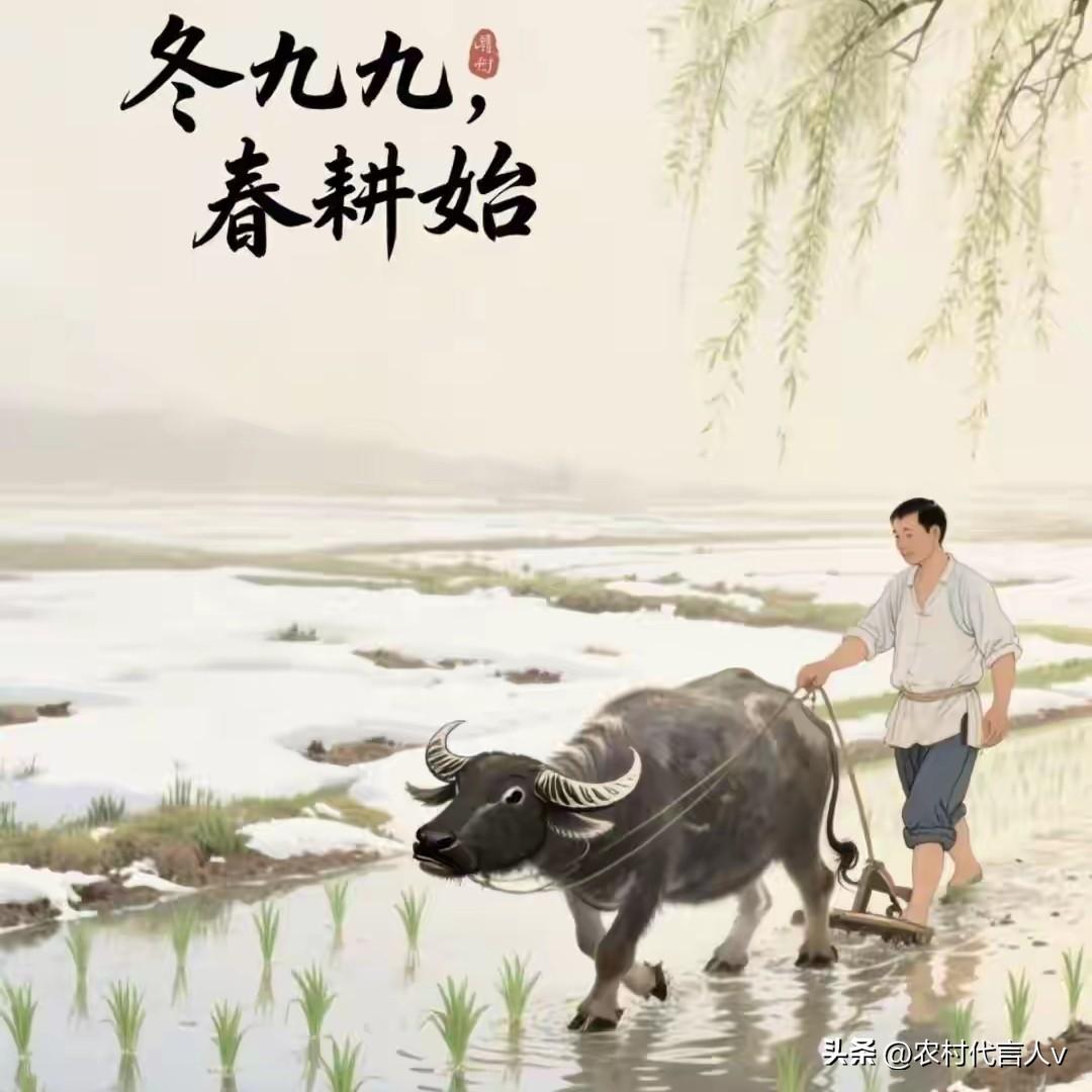 不是迷信！明日出九九，3事别犯了忌讳：1不吃、2不做、3不动。
 
“九尽桃花开