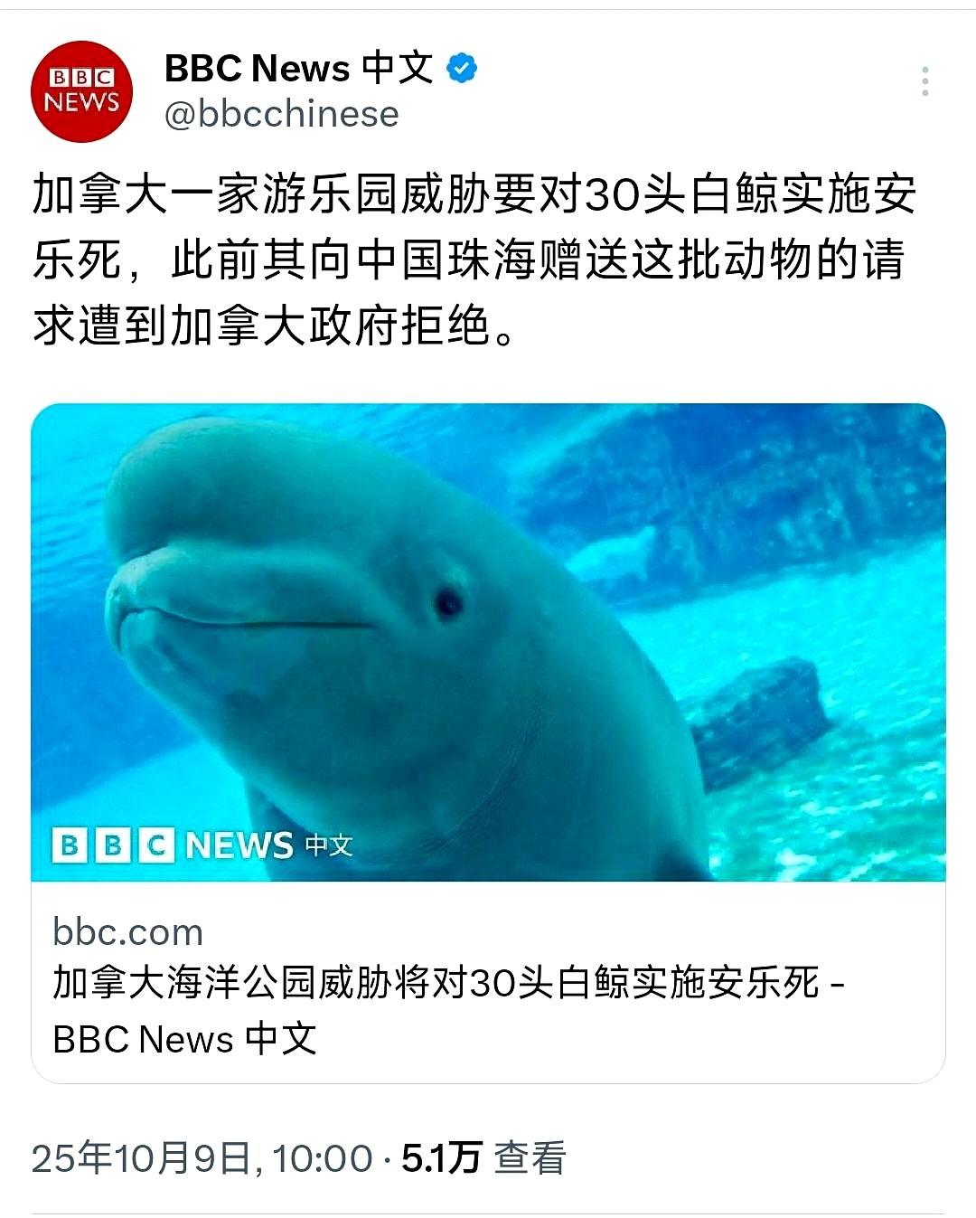 BBC中文网今天（10月9日）报道：加拿大一家游乐园威胁要对30头白鲸实施安乐死