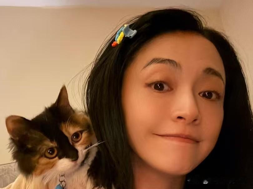 我发现
姚晨身上的一个玄学，
她找的男人，都有一个特点，那就是都出身在艺术世家。