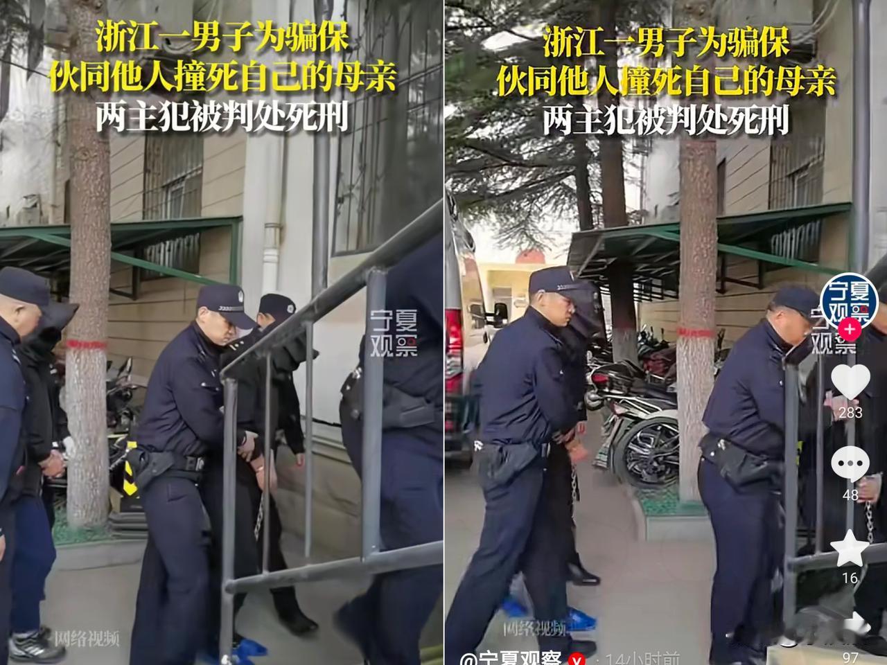 你敢信吗？浙江台州这起弑母骗保案，

比儿子联合外人撞死亲妈

更让人脊背发凉的
